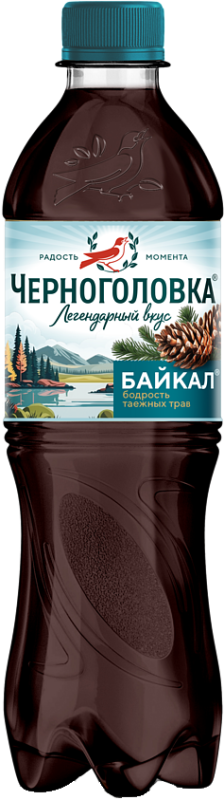 Черноголовка Байкал
